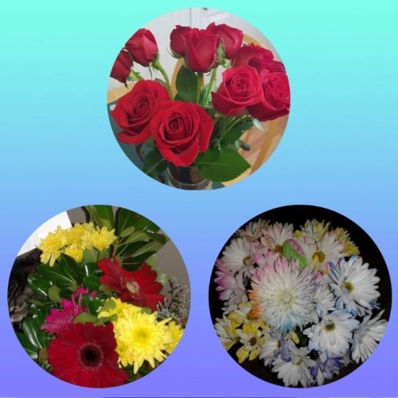 Meet your Posher, Shelley - Picture 1 of 1